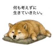 859275841