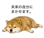 859275842