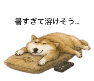 859275843