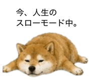 859275844