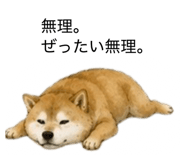 859275846