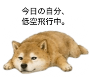 859275847