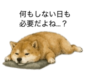 859275854