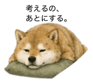 859275855