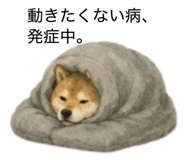 859275856