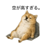 859275858