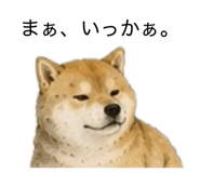 859275859