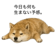 859275860