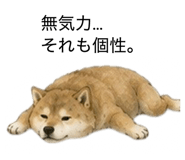 859275864