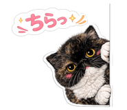 859276450