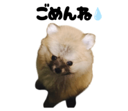 859276681