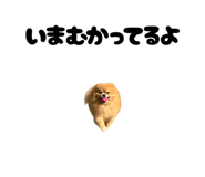 859276685