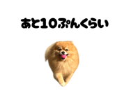859276686
