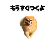859276687