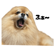 859276690
