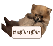 859276712