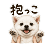859276741