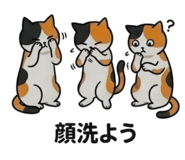 859276849