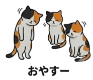 859276853
