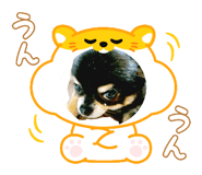 859276953