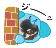 859276966