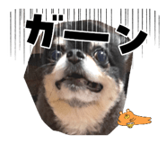 859276976
