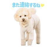 859278744