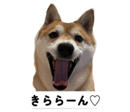 859278793