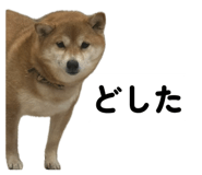 859278794