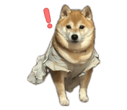 859278796