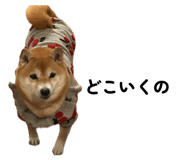 859278800