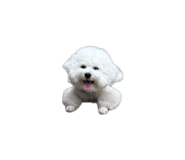 859280196