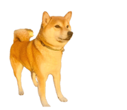 859280201