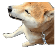 859280206