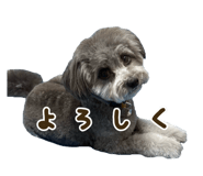 859282252