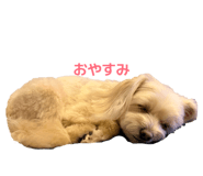 859283298