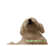 859283299