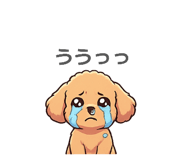 859284587