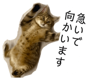 859284946