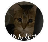 859284951