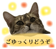 859284954
