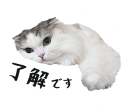 859285002