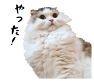 859285018