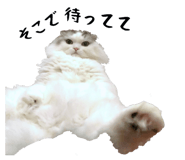 859285021