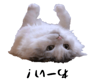 859285029