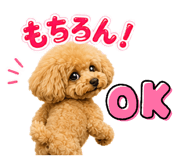 859285251
