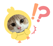 859285683