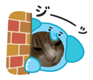 859285694