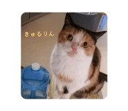 859286402