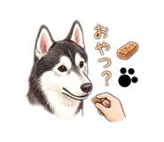 859286761